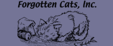 Forgotten Cats Official logo